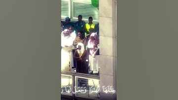 #ياسر_الدوسري /#سورة_النمل/ #shortvideo / #quran /#yasseraldossary