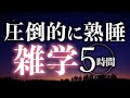 【睡眠導入】圧倒的に熟睡雑学5時間【合成音声】