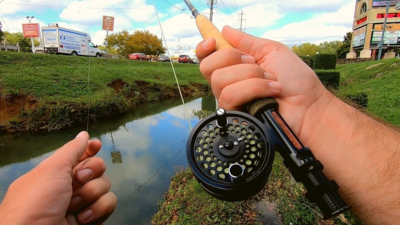 Top Water Fly Fishing Urban Ditch for ANYTHING YouTube