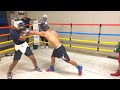 SPARRING WITH THE ELITE BOXERS!