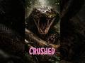 “CRUSHED by a 40ft ANACONDA! 🐍 | Amazon’s Deadliest Predator”
