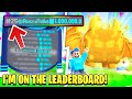 I Got TOP 10 On The CLICKER SIMULATOR LEADERBOARDS!! (Roblox)