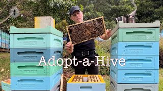 Adopt-a-Hive