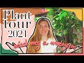 Gyere velem és nézd meg a növénykéimet 🌱 PLANT TOUR 2021 Q1