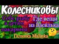 Семья КОЛЕСНИКОВЫ /Дети едят макароны, а родители рыбу/Обзор ВЛОГОВ /