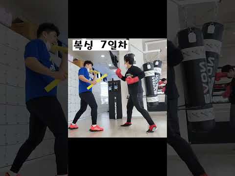 복싱 1일차 복싱 10일차 #shorts