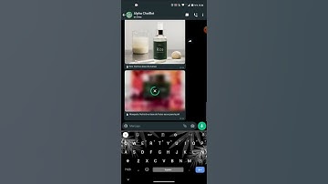 Robot para WhatsApp - Estéticas - Chatbot + Autoresponder WA + Tasker