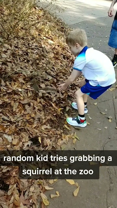 squirrel bites little kid #funny #shorts #youtube #youtubeshorts