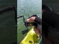 Tucunaré no Ultralight BFS! #fishing #pesca #kayakfishing #Brasil #riosãofrancisco