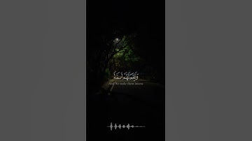 وَنُرِيدُ أَن نَّمُنَّ عَلَى الَّذِينَ | محمد صديق المنشاوي | سورة القصص