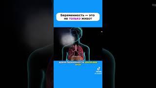 Беременность и внутренние органы...