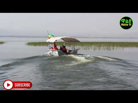 Hawassa Fikir Haik ሃዋሳ ፍቅር ሃይቅ