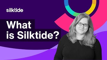 What is Silktide?
