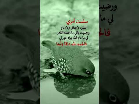 سلمت امري للذي لا يغفل ولا ينام 