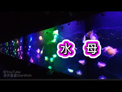 🇨🇳🇭🇰 2021.12 水母萬花筒 香港海洋公園✨滿天星星StarWish✨