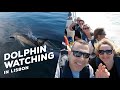 Ocean Dolphin Watching Tour in Lisbon | Lisboa