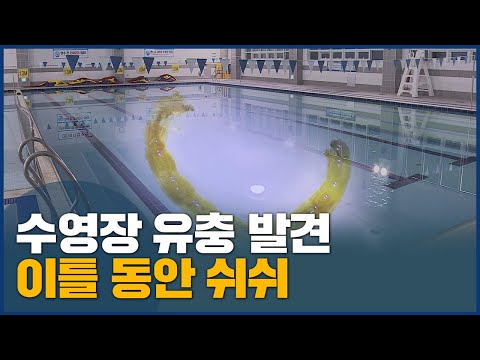 수영장에 유충, &amp;quot;늑장 대응&amp;quot;