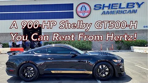 900HP Shelby Hertz GT500-H You Can Rent - First Lo...