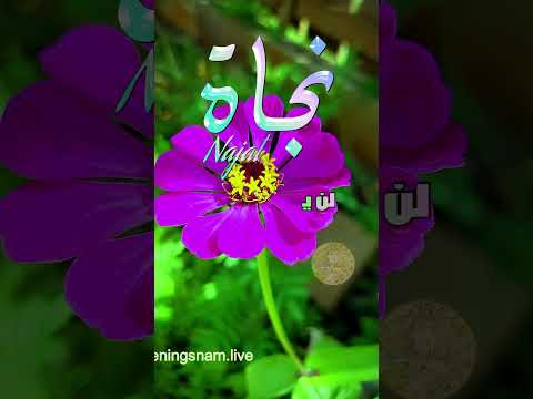 ابيات شعر باسم نجاة