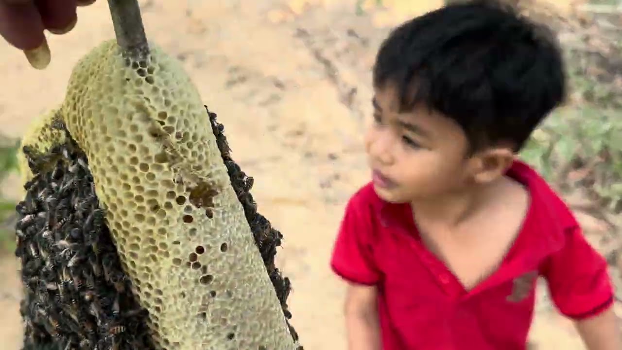 Wow one more bees #ogdafoodtv #honeybeesting 