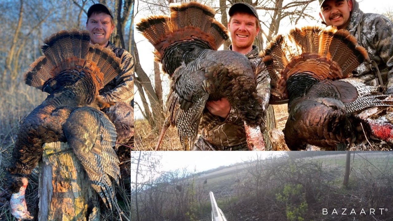 How To Hunt Turkeys! Turkey Hunting Methods, Tips, And Setups! Tom And ...