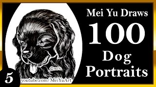 100 Drawings Challenge - Mei Yu Draws 100 Dog Portraits - Newfoundland Dog - Meiyuart