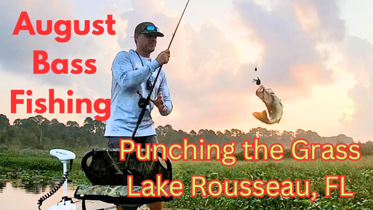 August Bass Fishing – Punching Grass Lake Rousseau, FL ☀️🔥