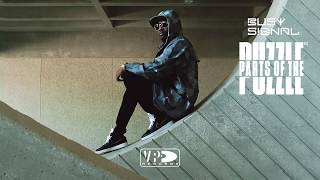 Busy Signal | Parts of the Puzzle | LIVE Album Event