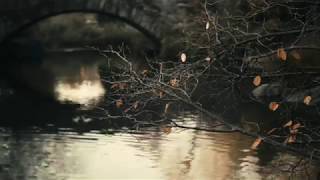 Central Park at Its Finest | Short Film | BMPCC | Sigma 18-35