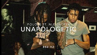 Polo G - Unapologetic  ft. NLE Choppa (Clean)