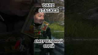 №29 |Dayz |Stalker| Смертельний стрій
