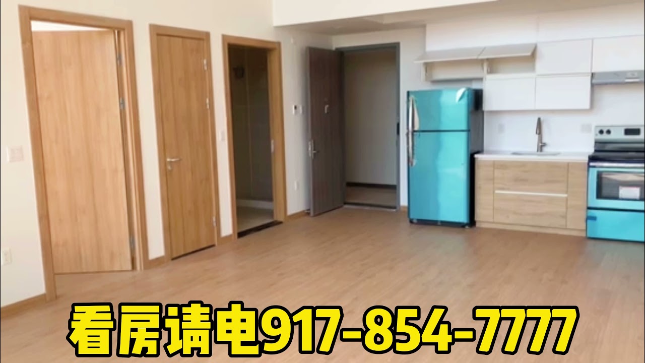 Brand new Condo in Flushing YouTube