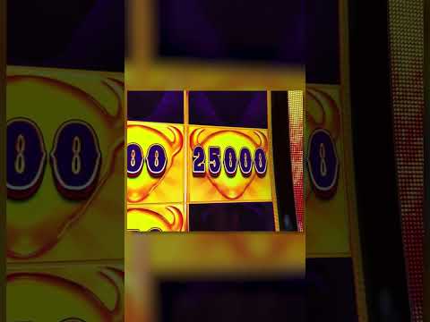 top Jackpot Bob Casino VIP bonus