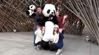 Our Global Panda Conservation Tour - Group C