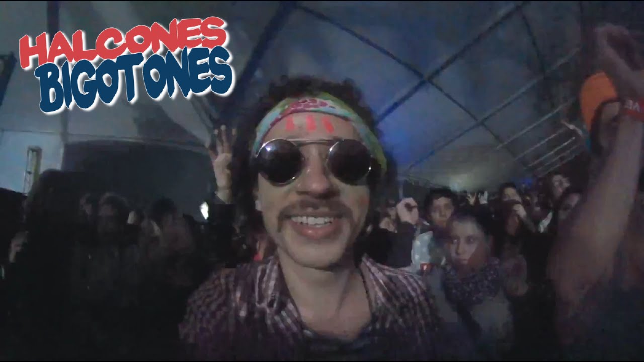 Halcones Bigotones en Fiestones | Provinciano en DF videos for cats