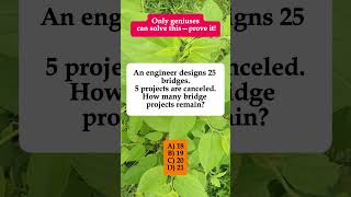 🌉 iQvistax | Engineer Designs 25 Bridges, 5 Canceled – How Many Remain? #shorts
