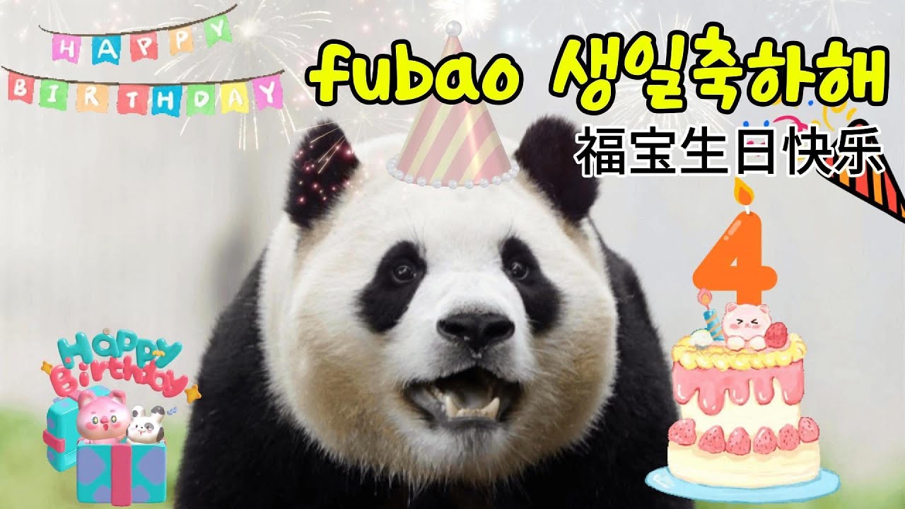 푸바오 4세 생일축하해^^ 너를 위해 만들었어~ 받아줘~ 총공 생일 축하 댓글 주세요 #푸바오 4세 생일 축하해