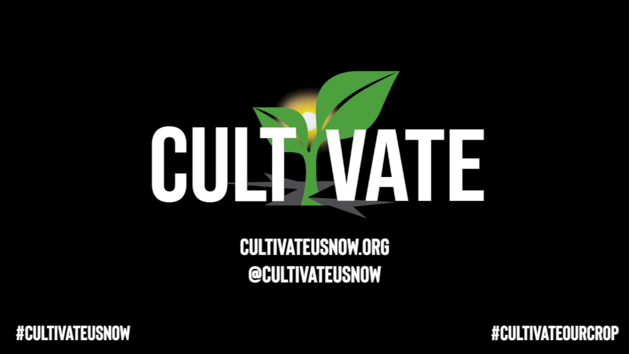 The Revolution Will Not Be Televised YouTube