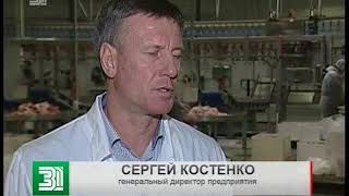 Утиная ферма под Челябинском, производящая фуа-гра, оказалась на грани банкротства
