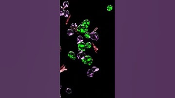 SCULL AND GUNS  #houdini #creativeblender #simulation #blendergameengine #3d