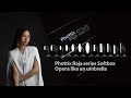 Phottix Raja series Softbox - 12 sizes and styles