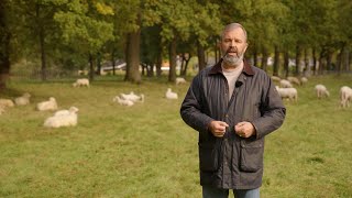 De Provincie Van Mens Natuur - Het Verhaal Van Provincie Drenthe Gedeputeerde Egbert Van Dijk