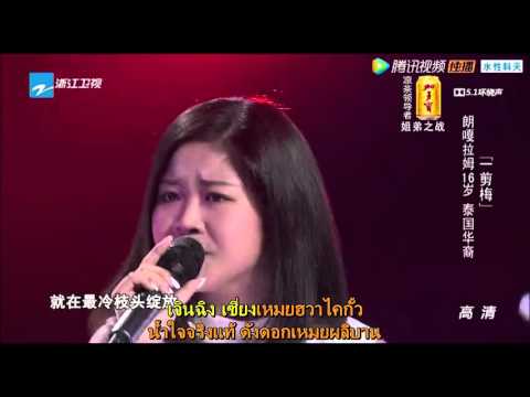 北京北冰洋 🆚 上海光明优倍 | 2025–2026 中国女子排球超级联赛 A级常规赛 第13轮