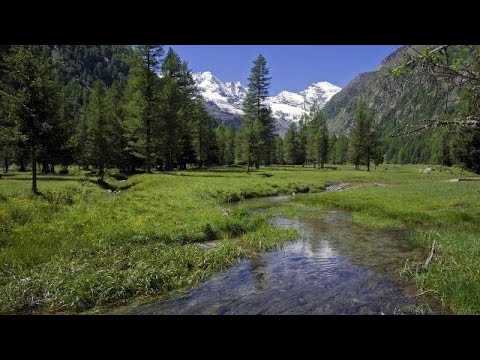 Video: I parchi nazionali più popolari negli Stati Uniti