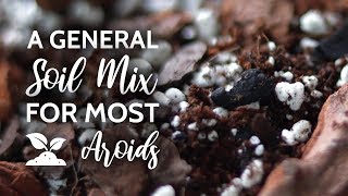 A general soil mix for (most) Aroids!