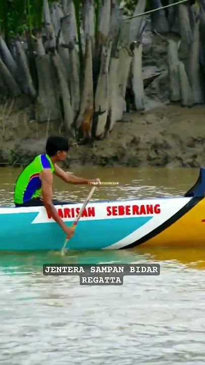 jentera Sampan bidar regatta |pacu jalur |dragon boat lumba perahu