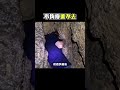 這個洞不夠瘦進不去