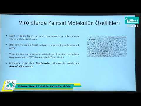 Mühendislik ve Doğa Bilimleri Fakültesi Uzaktan Eğitim Dersleri - Viroidler, Virüsoidler, Virüsler