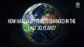 How have forests changed in the last 30 years: The Global Forest Resources Assessment 2020