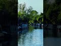 #viral #subscribe #reels #shorts #nature #pov #instagram #views #flowers